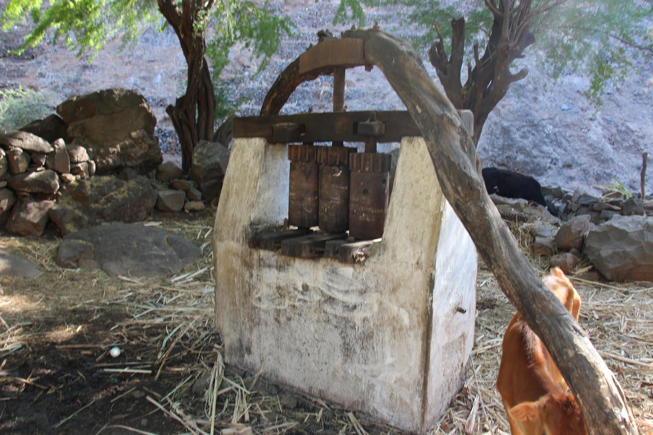 Pousada Quinta Ribeirinha Cidade Velha Dış mekan fotoğraf